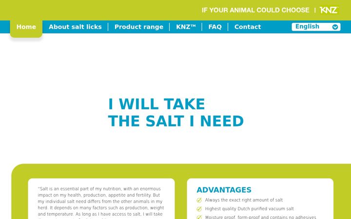 Screenshot of knzsalt.com