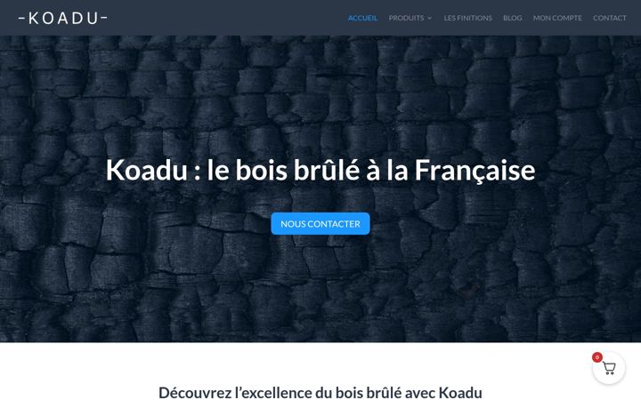 Screenshot of koadu.fr