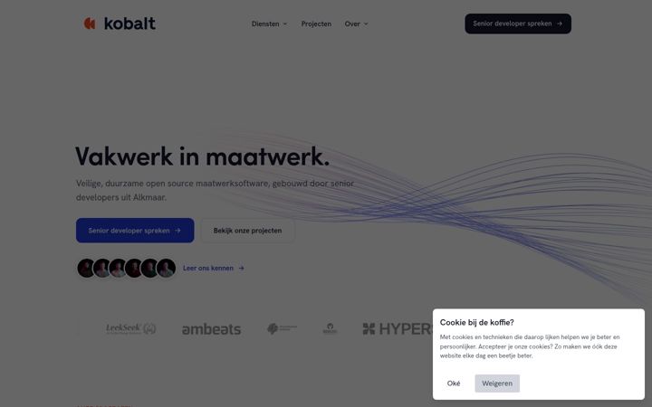 Screenshot of kobaltdigital.nl
