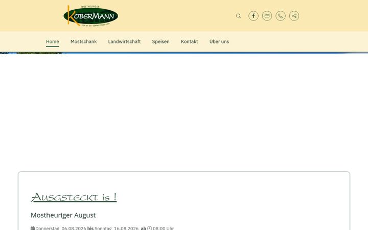 Screenshot of kobermann.at