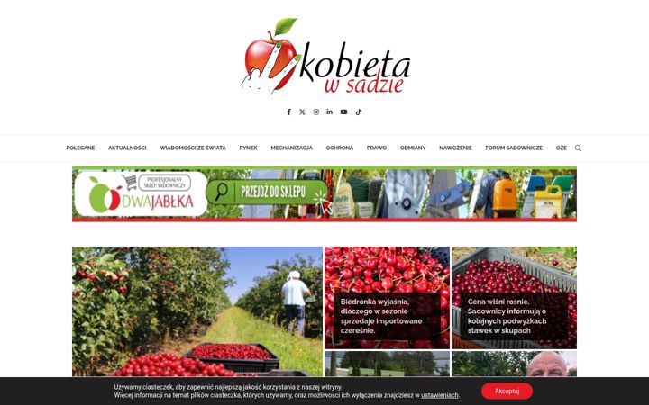 Captură de ecran a kobietawsadzie.pl