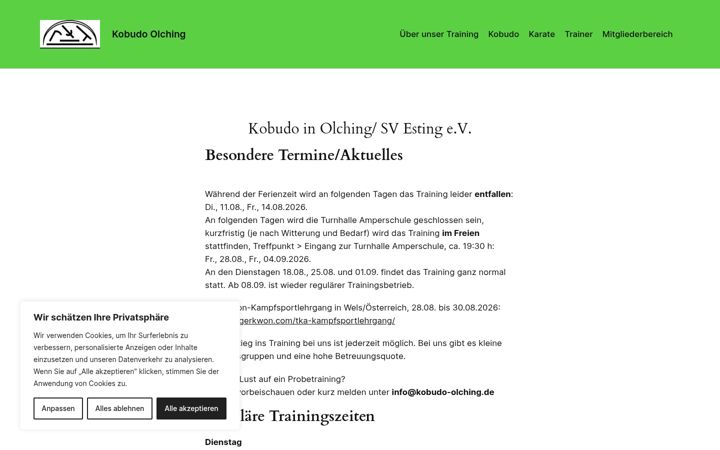 Screenshot of kobudo-olching.de