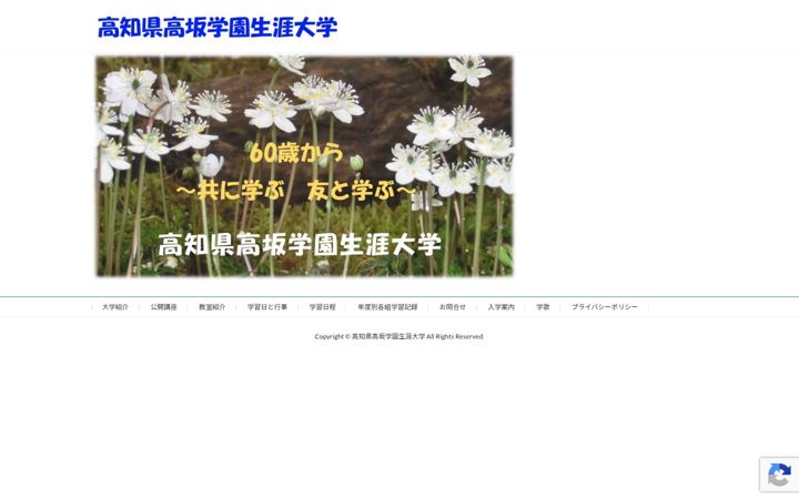 Screenshot of kochi-shoudai.com