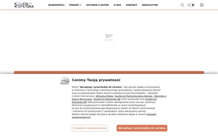 Captură de ecran a kociakolyska.pl