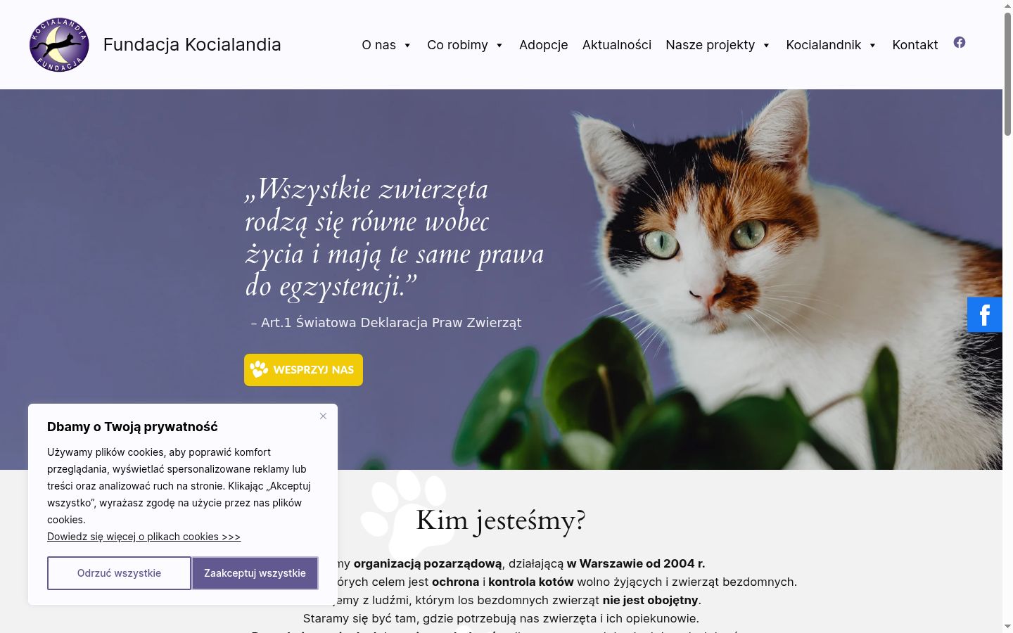 Captură de ecran a bannerului de consimțământ afișat înainte de orice interacțiune