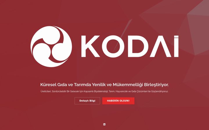 Screenshot of kodai.com.tr
