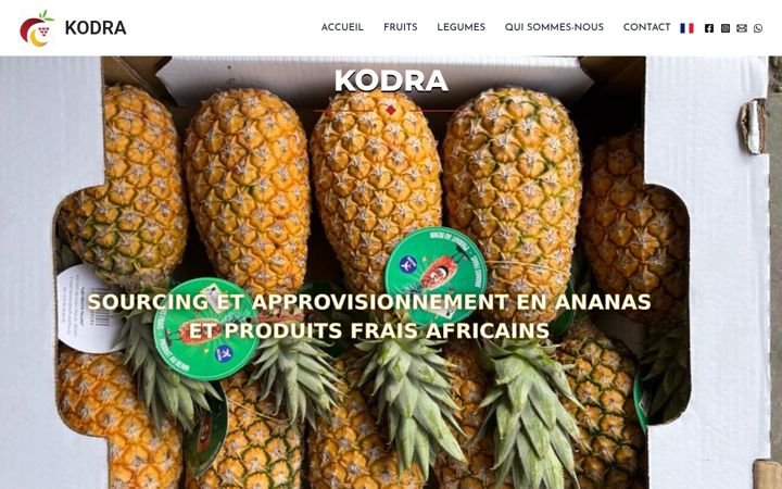 Screenshot of kodra-export.com