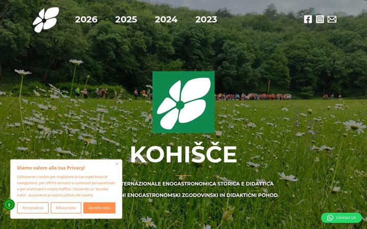 Screenshot of kohisce.com
