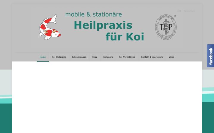 Screenshot of koi-heilpraxis.de