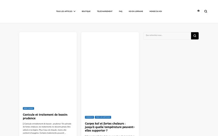 Screenshot of koibykoi.info