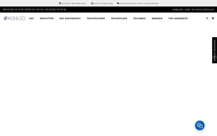 Screenshot of koico.de
