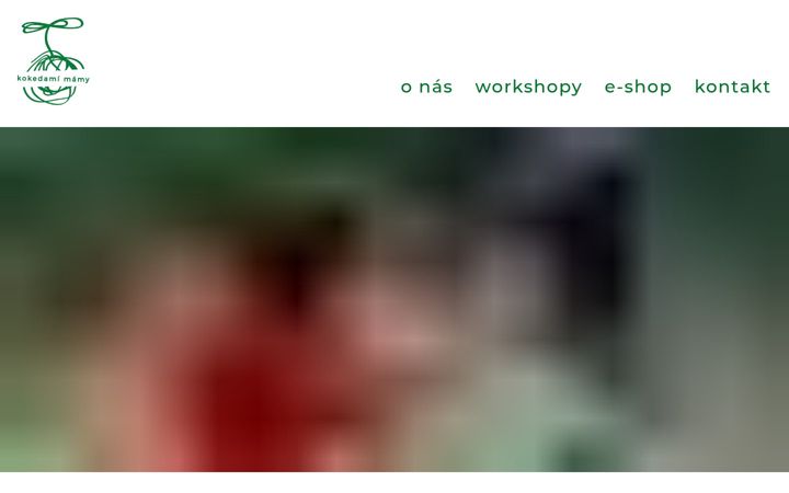 Screenshot of kokedamimamy.cz