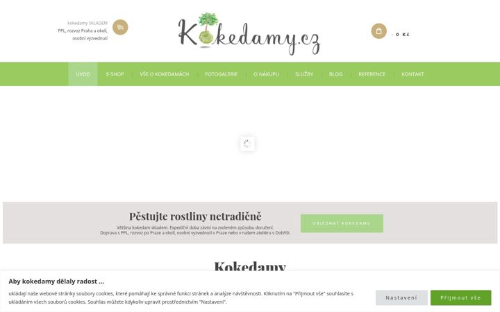Screenshot of kokedamy.cz