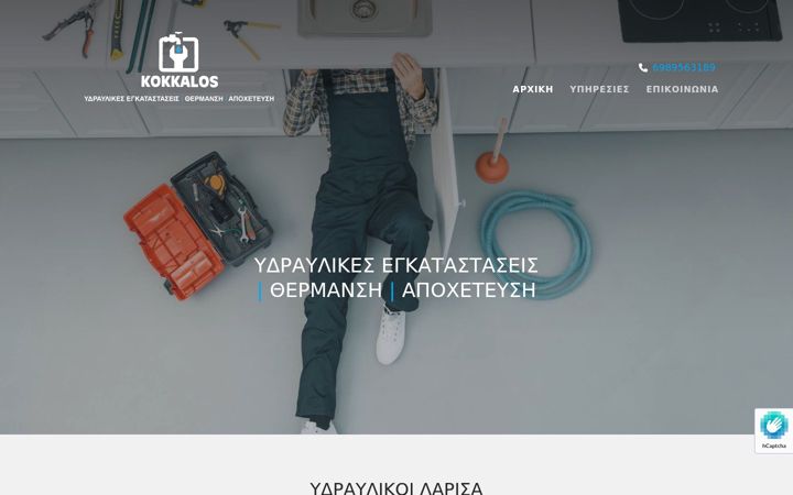 Screenshot of kokkaloshydro.gr