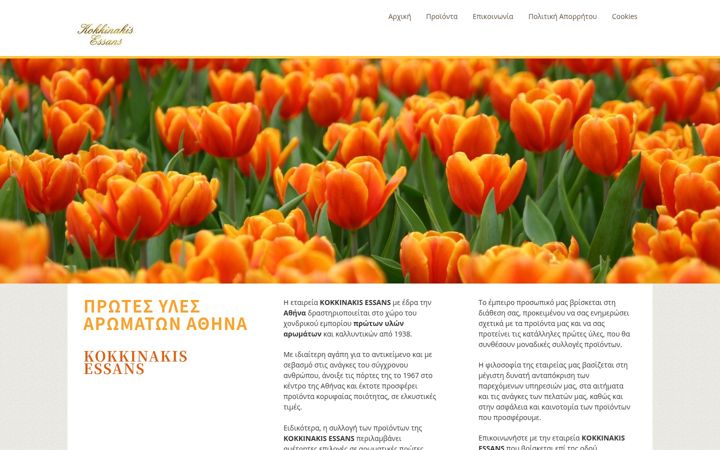 Screenshot of kokkinakis-essans.gr