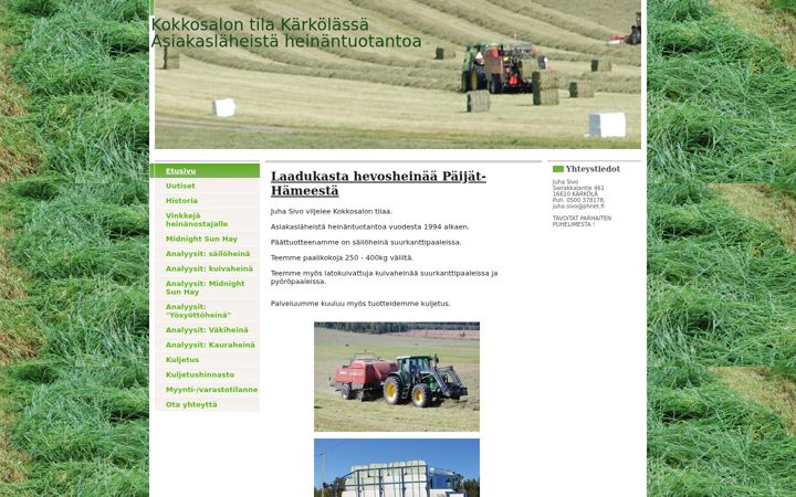Screenshot of kokkosalontila.com