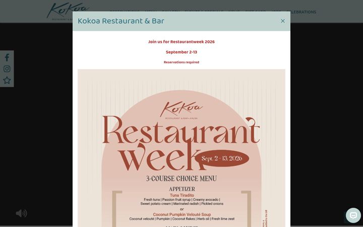 Screenshot of kokoaaruba.com