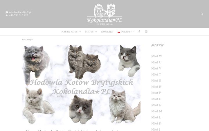 Screenshot of kokolandia.pl