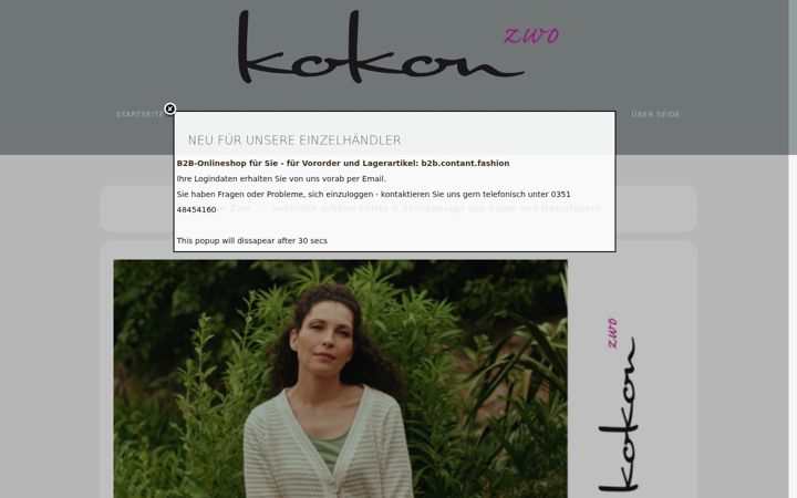 Screenshot of kokonzwo.de