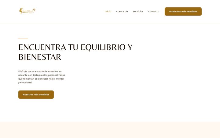 Screenshot of kokorosalud.es