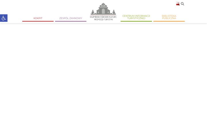 Screenshot of kokpit.com.pl