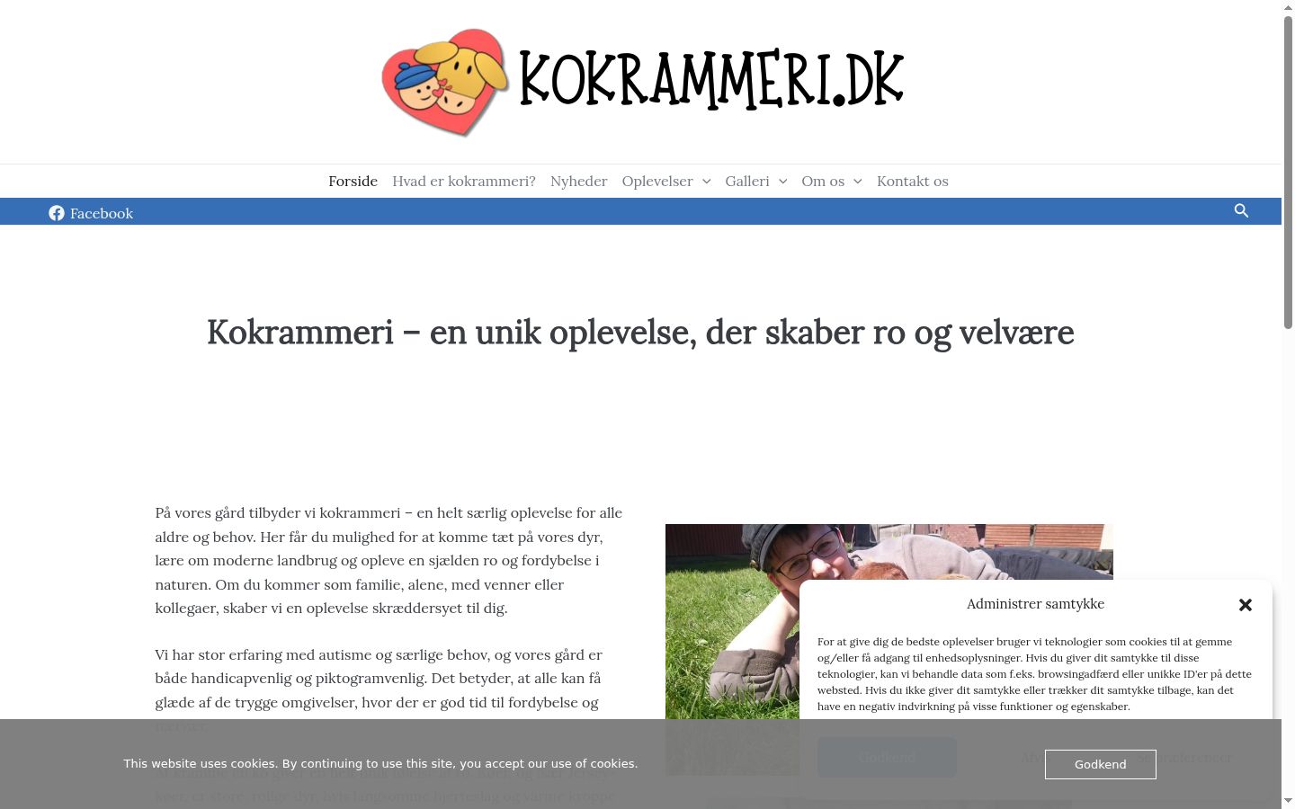 Skærmbillede af samtykkebanneret, som det blev vist før nogen interaktion