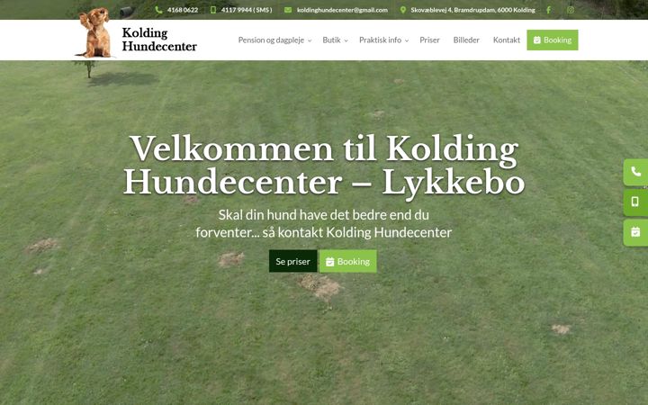 Screenshot of koldinghundecenter.dk