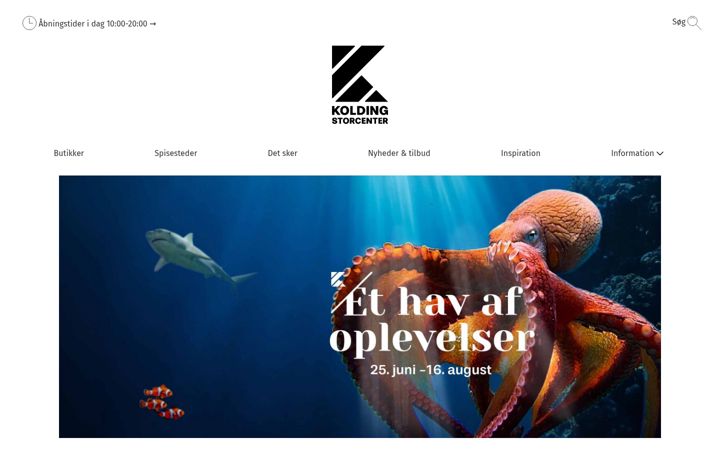 Skærmbillede af koldingstorcenter.dk