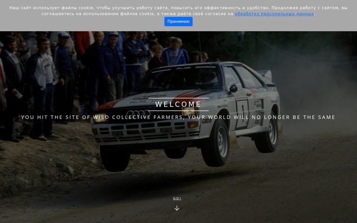 Screenshot of kolhosniki.ru