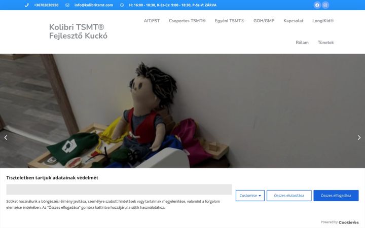 Screenshot of kolibritsmt.com