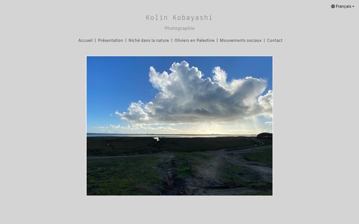 Screenshot of kolinkobayashi.com