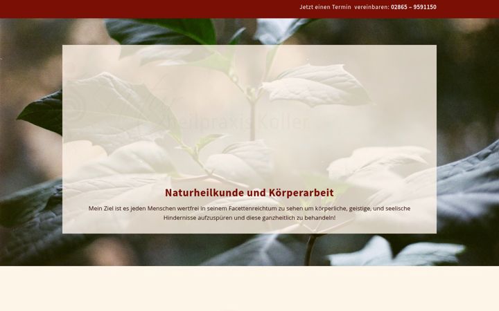 Screenshot of koller-naturheilkunde.de
