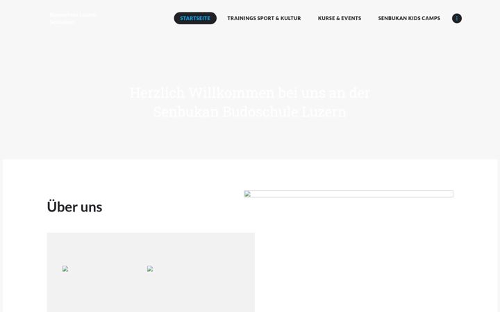 Screenshot of kollerkendo.ch