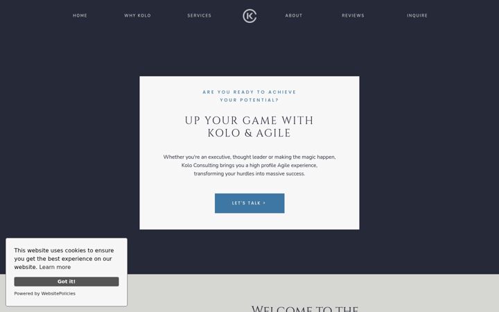 Screenshot of koloconsulting.com