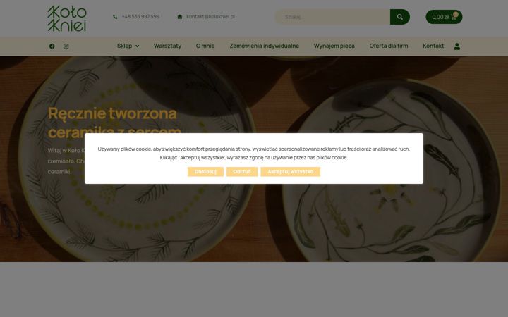 Screenshot of kolokniei.pl