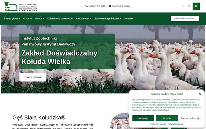 Screenshot of koluda.pl