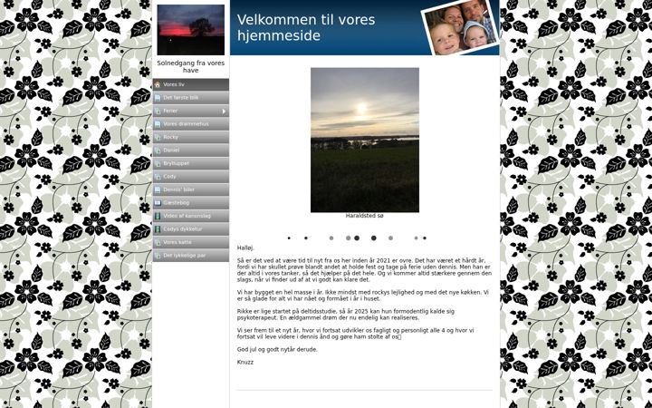 Screenshot of kondrupkaae.dk