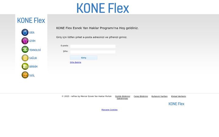 Screenshot of koneflex.com