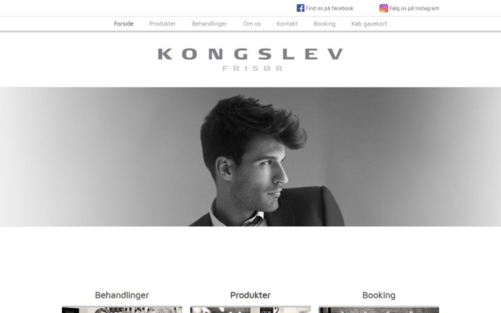 Ekraanipilt saidist kongslev.com