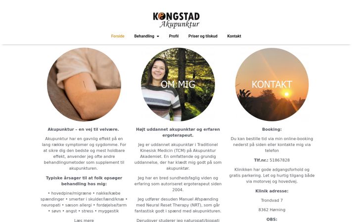 Screenshot of kongstadakupunktur.dk