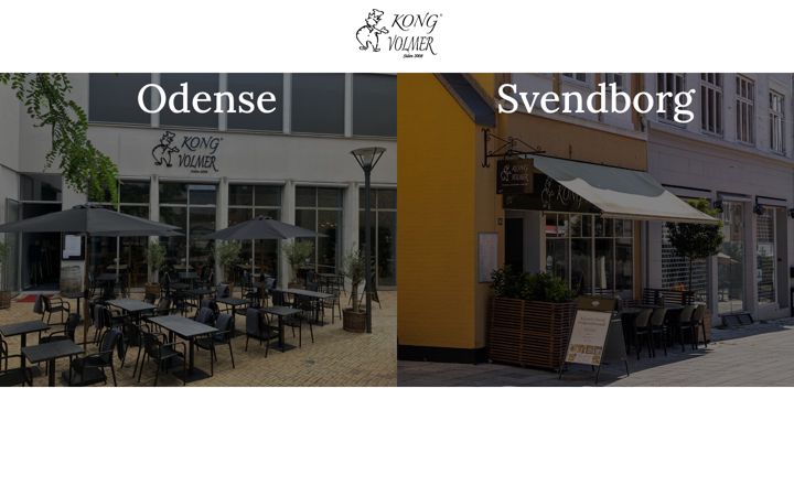 Screenshot of kongvolmer.com