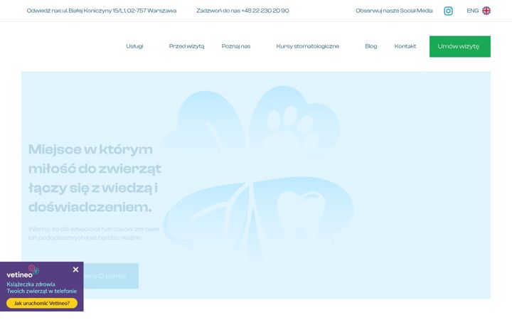Screenshot of koniczynavet.pl