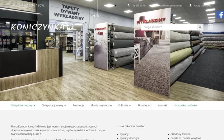 Screenshot of koniczynka.info.pl