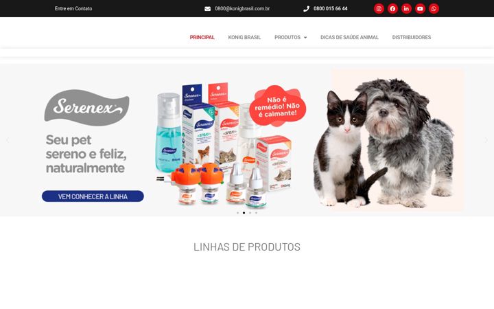 Screenshot of konigbrasil.com.br