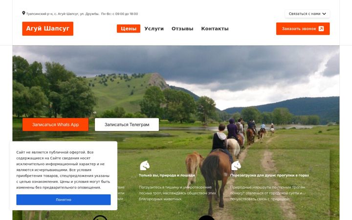 Screenshot of konnye-progulki-tuapse.ru