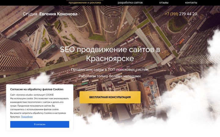 Screenshot ta' kononov.studio