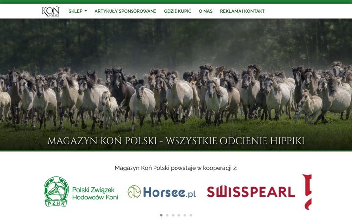 Screenshot of konpolski.pl
