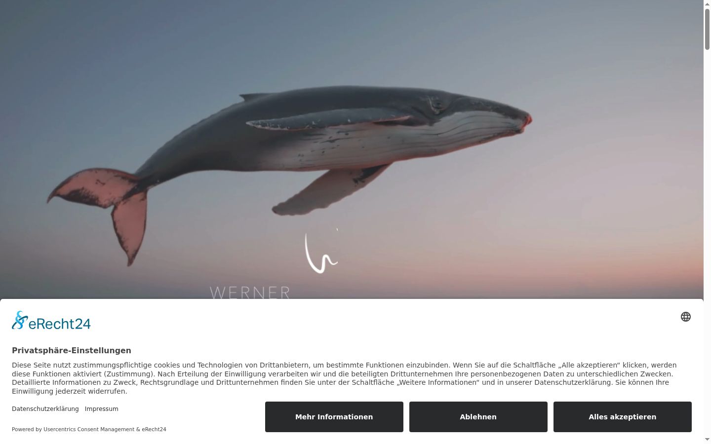 Screenshot of the consent banner shown before any interaction