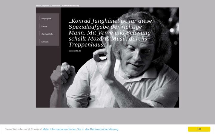 Screenshot of konradjunghaenel.de