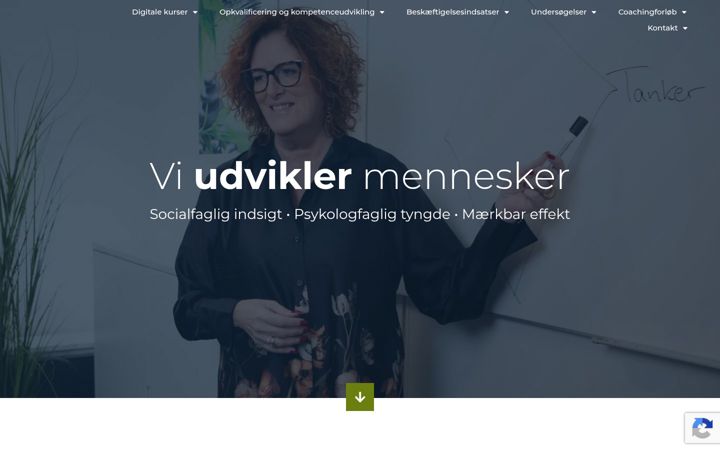 Zrzut ekranu konsulenternedhp.dk